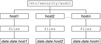 Diagram shows a default audit root directory whose top directory names are host names.